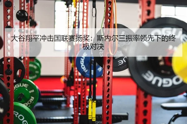 大谷翔平冲击国联赛扬奖：斯内尔三振率领先下的终极对决